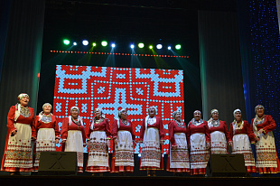 Концертная программа "В единстве наша сила"