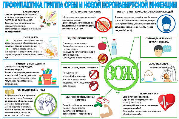 Профилактика сезонных заболеваний 