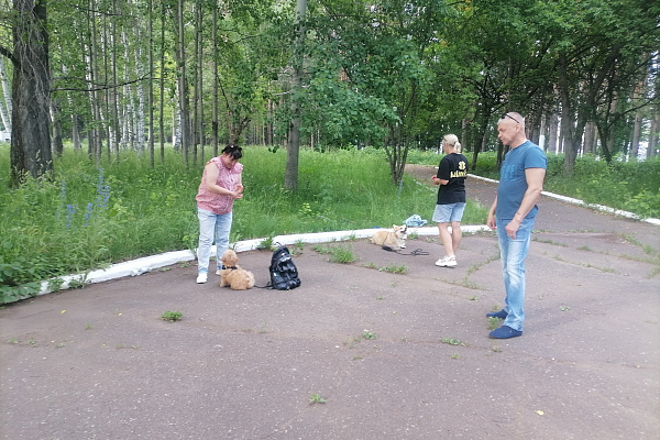 Международный фестиваль патриотической песни "Автомат и гитара - Сила в братстве"